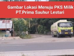 Jalan Lintas Menuju Pintu Masuk/Keluar PKS Milik PT.Prima Sauhur Lestari  Rawan Kecelakaan,Humas  Dan Menejer Dikonfirmasi Bungkam.