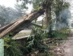 Pagar Tumbang,PT.Prima Sauhur Lestari Diduga Tidak Perduli Akan Keselamatan pengguna Jalan….!!!